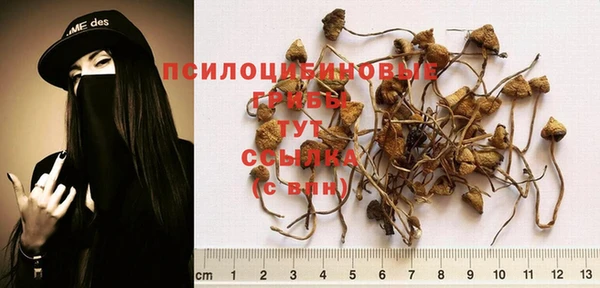 гидра Нефтекумск