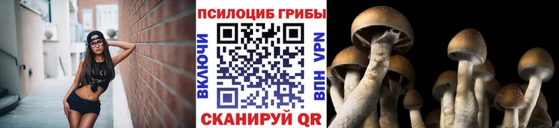Псилоцибиновые грибы прущие грибы  даркнет как зайти  Нариманов 